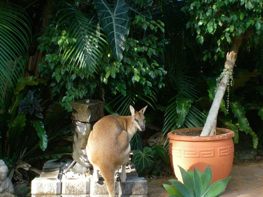 Bluewater Bed & Breakfast Cairns Trinity Beach Zewnętrze zdjęcie